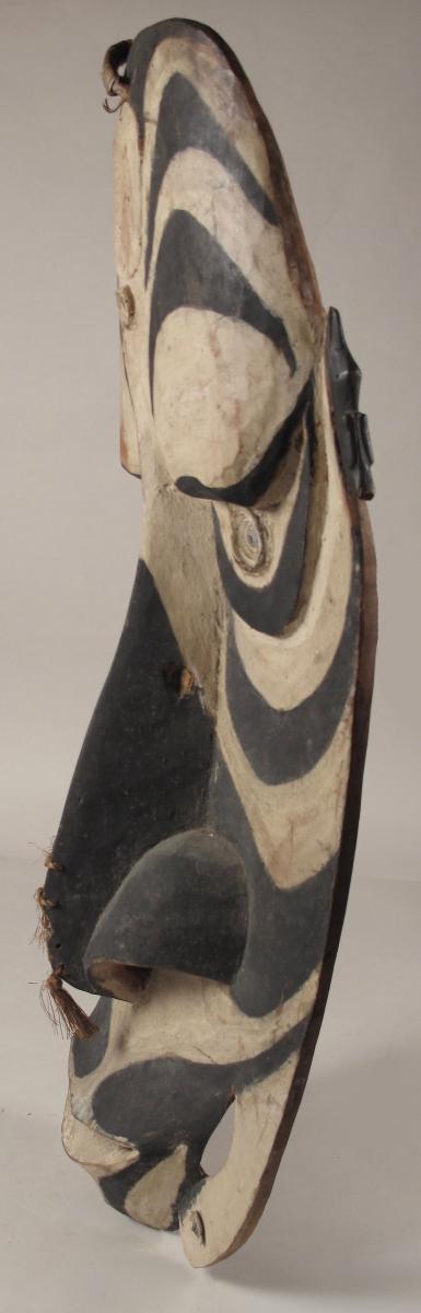 A Very Interesting And Decorative Original Shield Of The Sepik River-photo-2