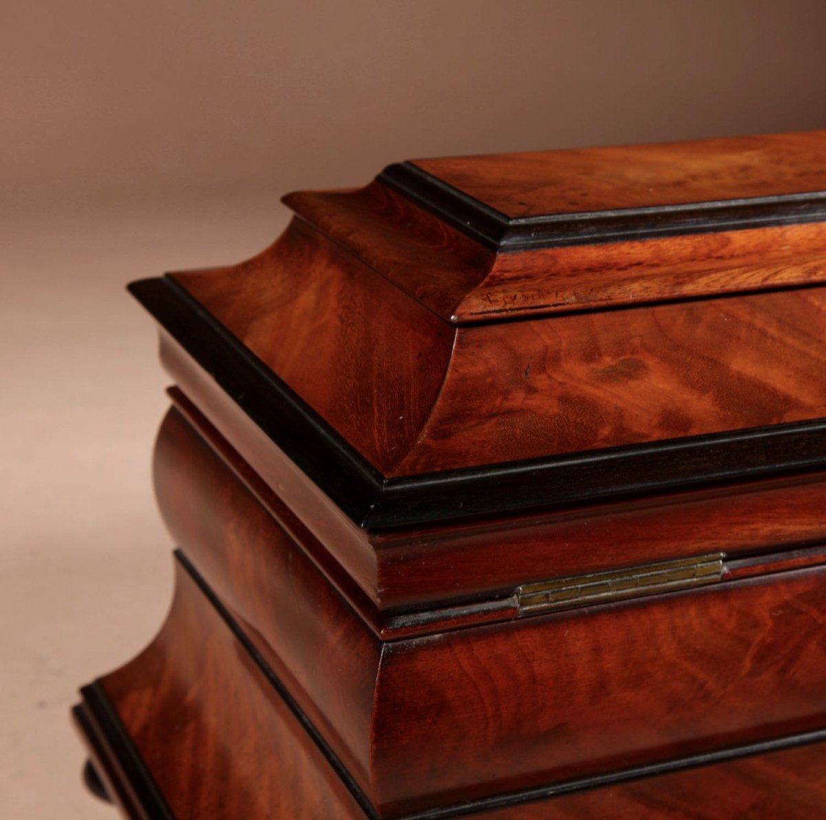  An Exceptional And Beautiful Bombé Mahogany And Ebony Georgian Tea Caddy Circa 1820.-photo-8