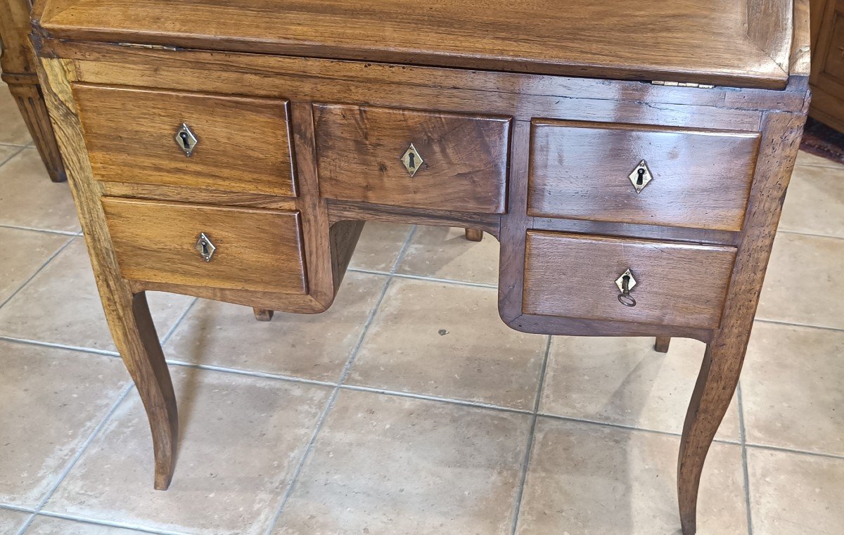Louis XV Sloping Desk, 19th, 4 Sides In Solid Walnut-photo-1