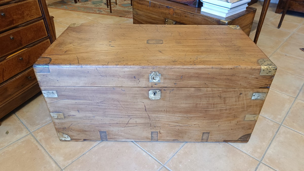 19th Century Marine Trunk In Camphor Wood-photo-2