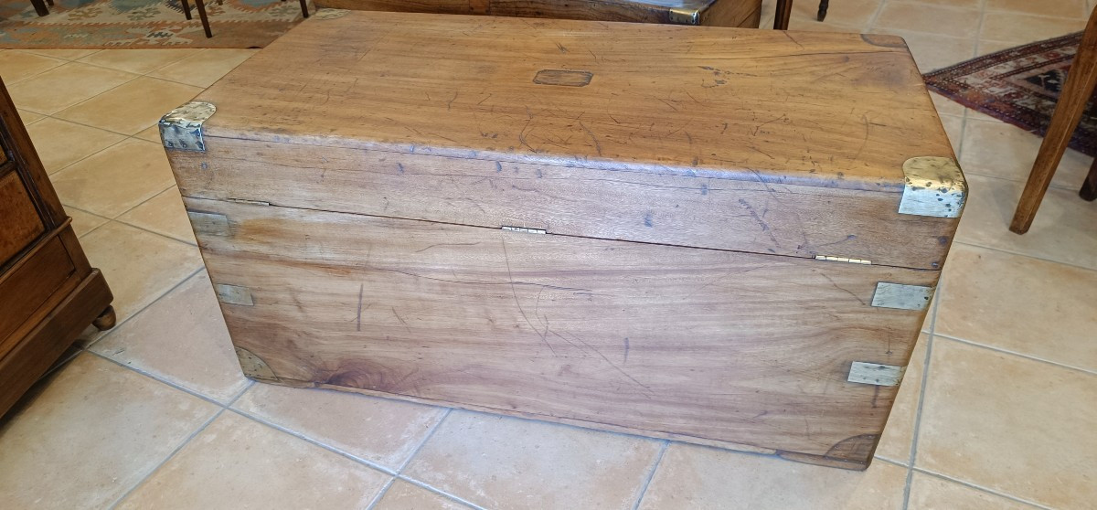 19th Century Marine Trunk In Camphor Wood-photo-1