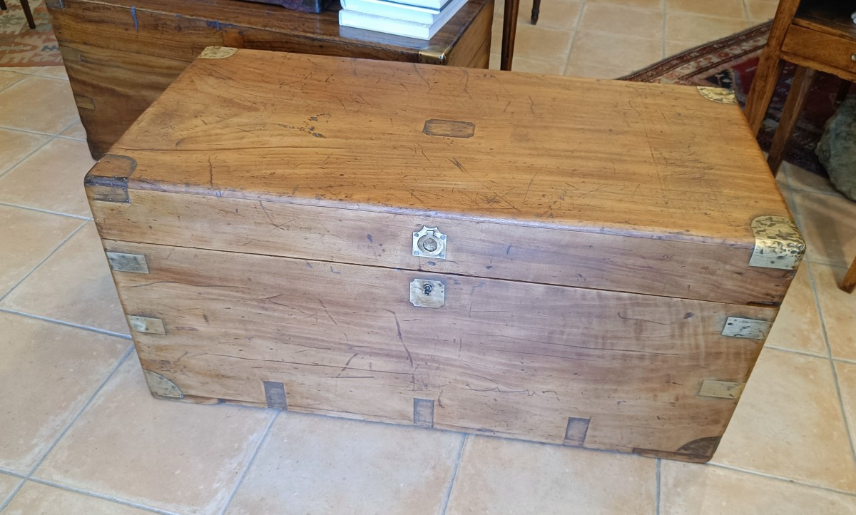 19th Century Marine Trunk In Camphor Wood