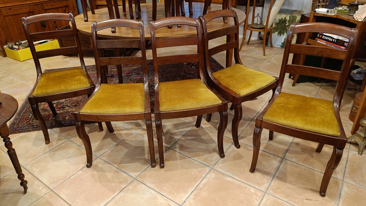 Set Of 10 Mahogany Restaurant Chairs-photo-2