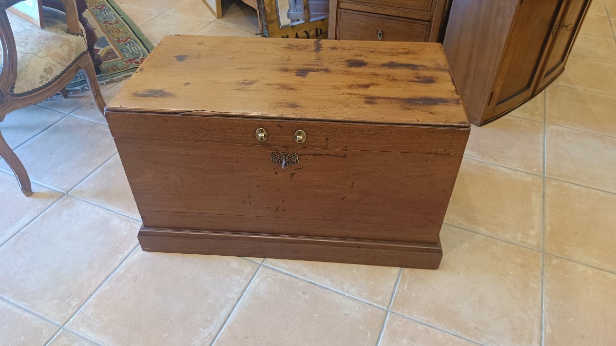 Small Marine Chest Made Of Exotic Wood