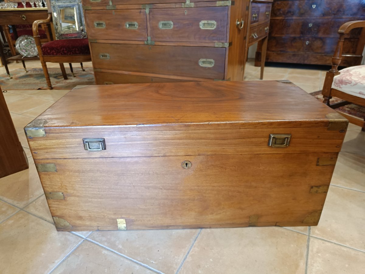 Early 20th-century Camphorwood Nautical Trunk-photo-2