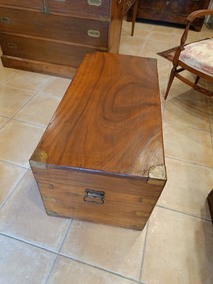 Early 20th-century Camphorwood Nautical Trunk-photo-4