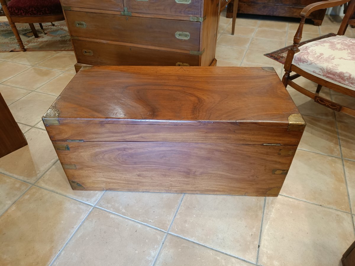 Early 20th-century Camphorwood Nautical Trunk-photo-1
