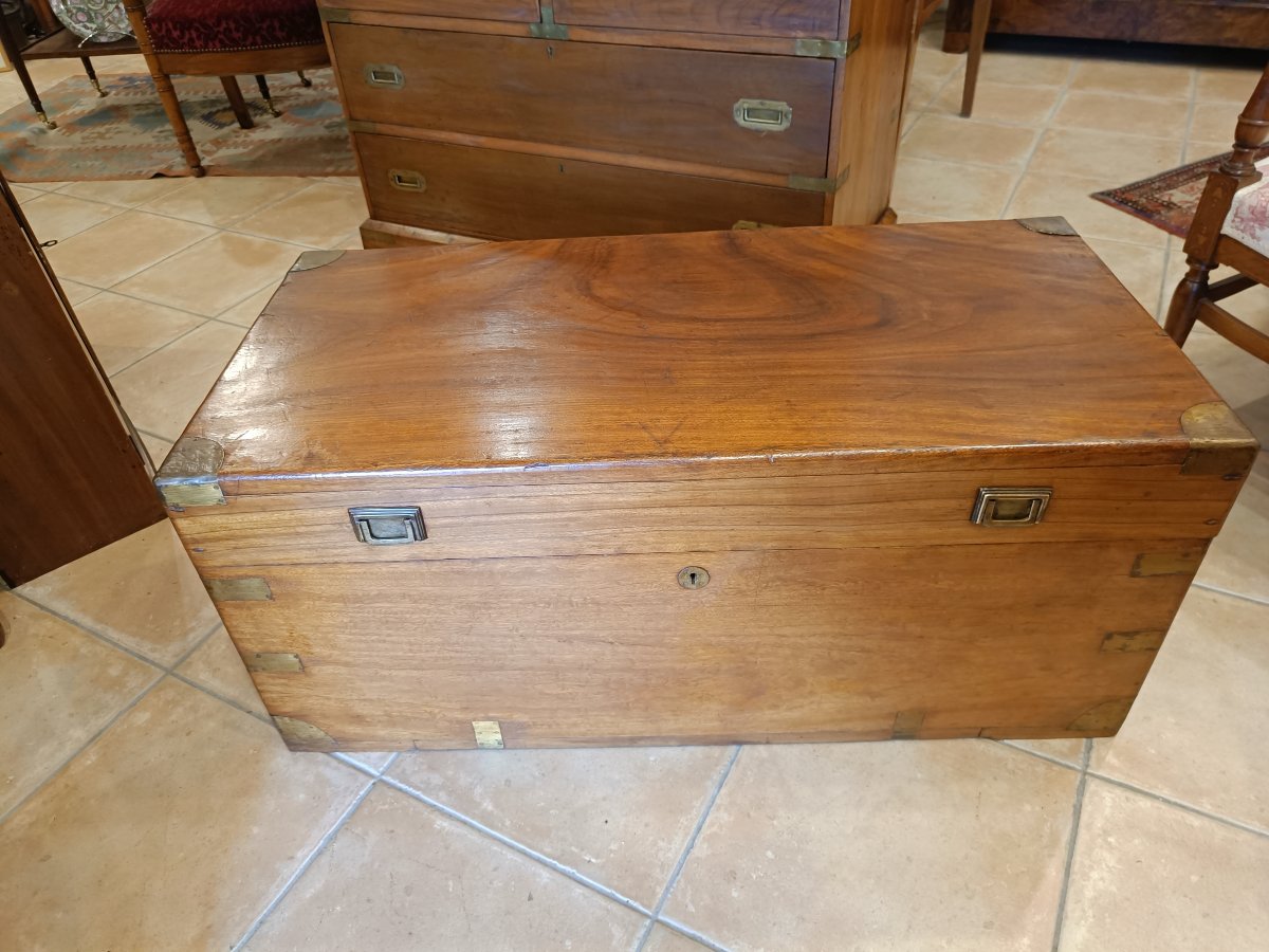 Early 20th-century Camphorwood Nautical Trunk