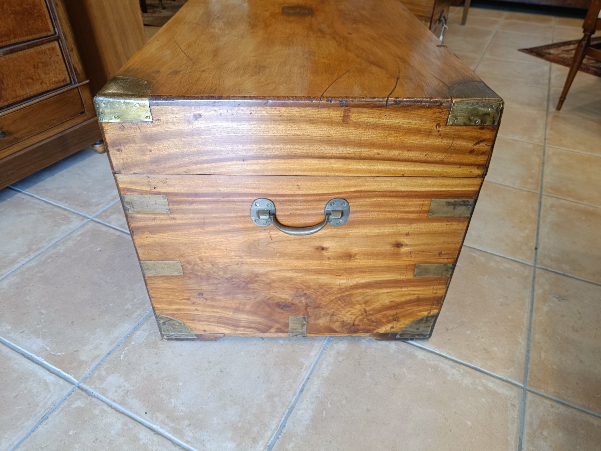 19th-century Camphor Wood Travel Trunk-photo-4
