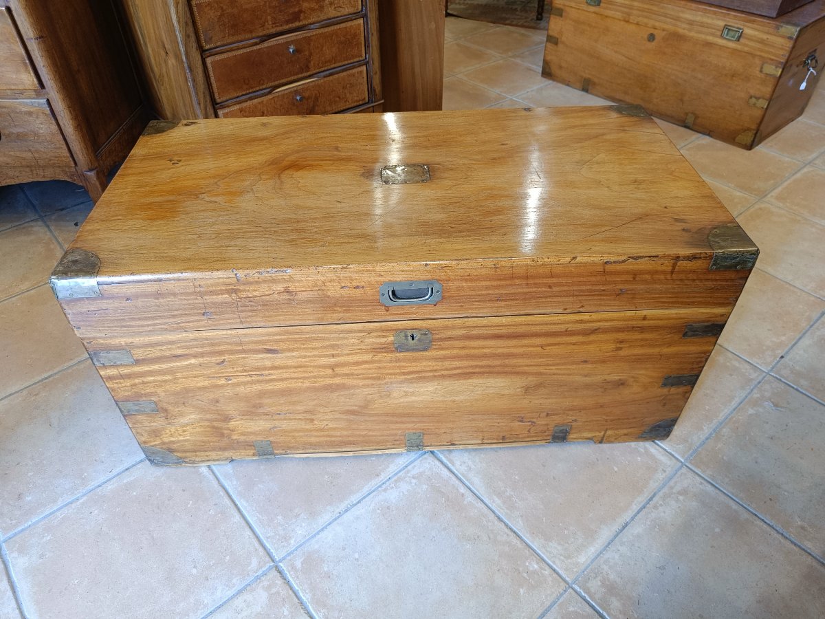 19th-century Camphor Wood Travel Trunk