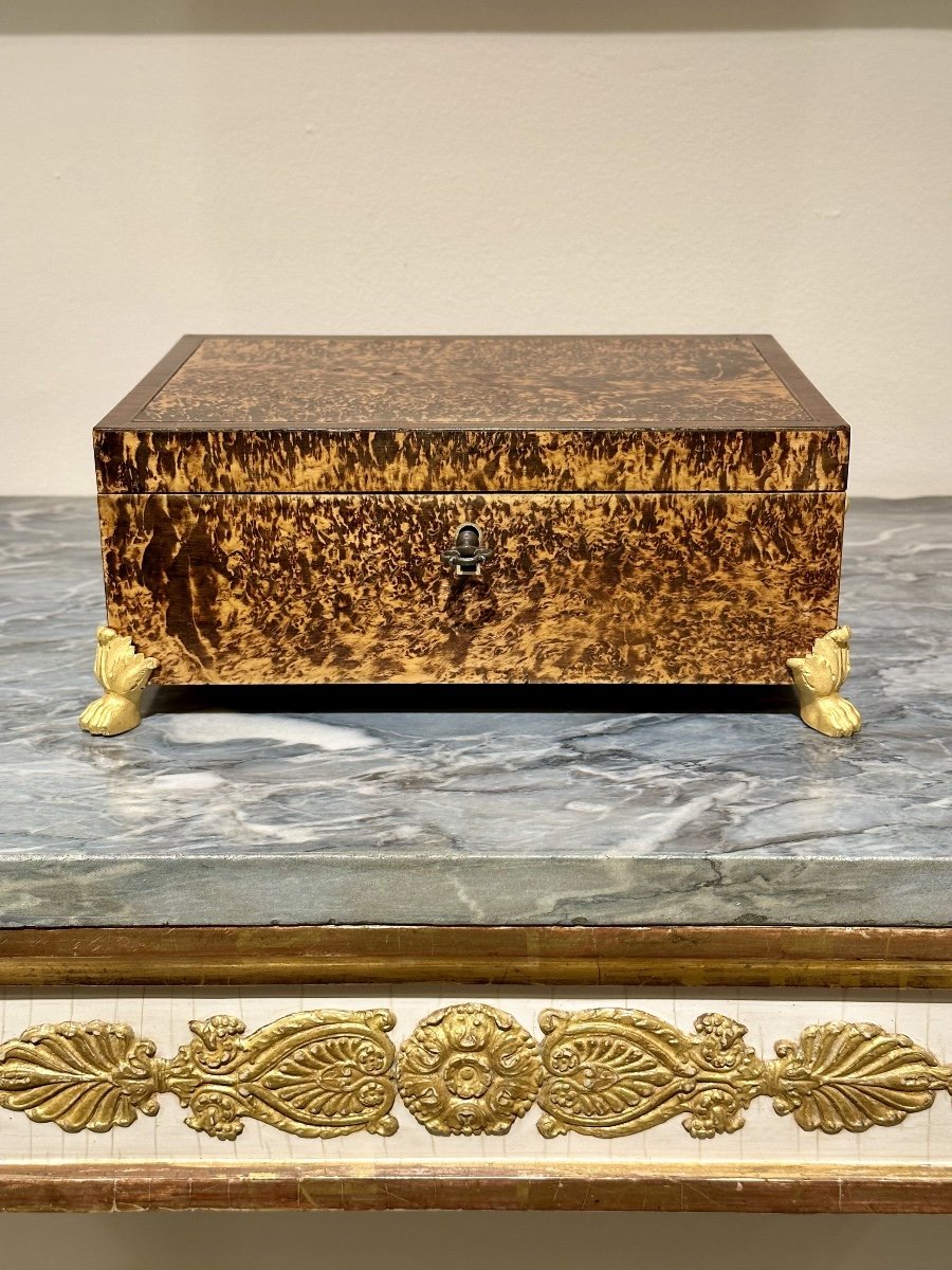 Charles X Marquetry Casket.