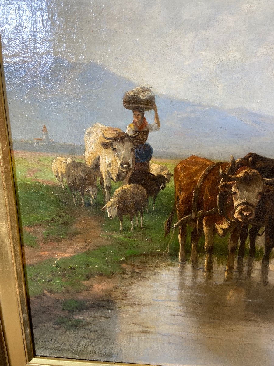 Christian Friedrich Mali (1832 Darthuizen/utrecht - 1906 München) Signed "cattle Herd"-photo-1