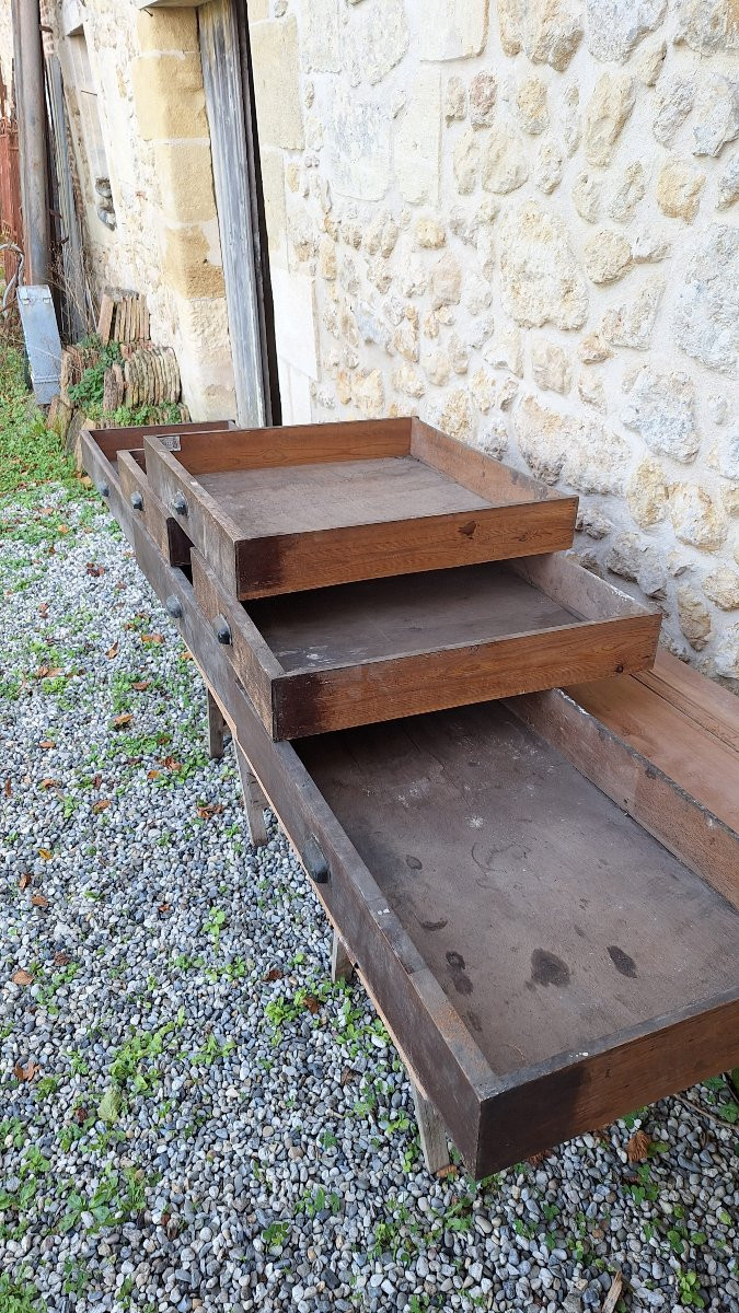 Lot Of Antique Drawers, Trade Furniture, Counter, Herbalist Shop, Haberdashery, Draper's Office, Notary's Office, Decor -photo-3