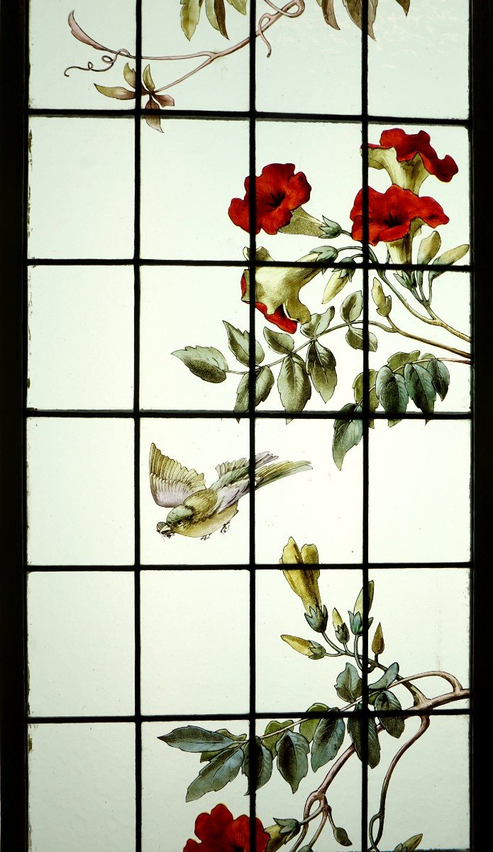 Stained Glass - Stained Glass - Bignone And Virginia Vine-photo-2
