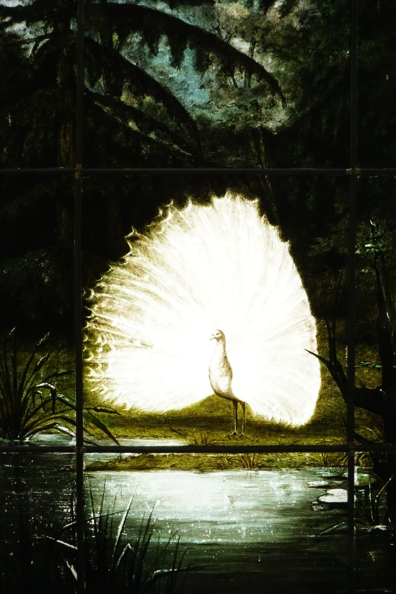 Vitrail - Stained Glass - Peacock Chiaroscuro-photo-2