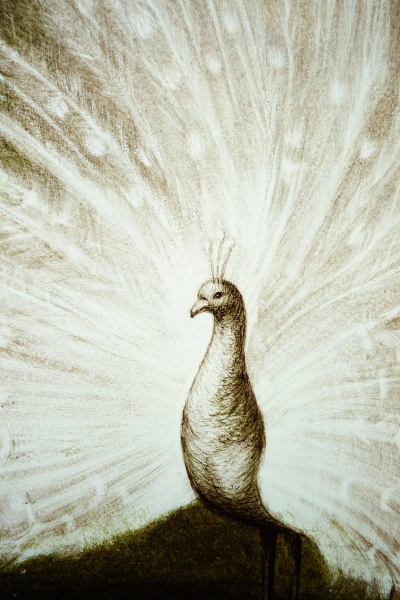 Vitrail - Stained Glass - Peacock Chiaroscuro-photo-3