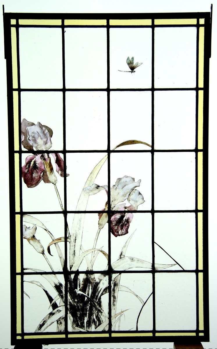 Stained Glass -  Iris And Dragonfly