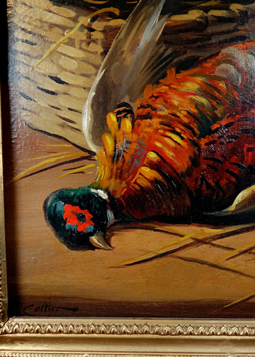 Still Life Signed Collier, Pheasant And Pigeon Game, Early 20th Century-photo-1