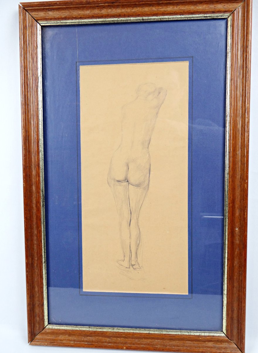 Study Of A Female Nude In Graphite, 51.5 X 33 Cm, French School, Early 20th Century-photo-3