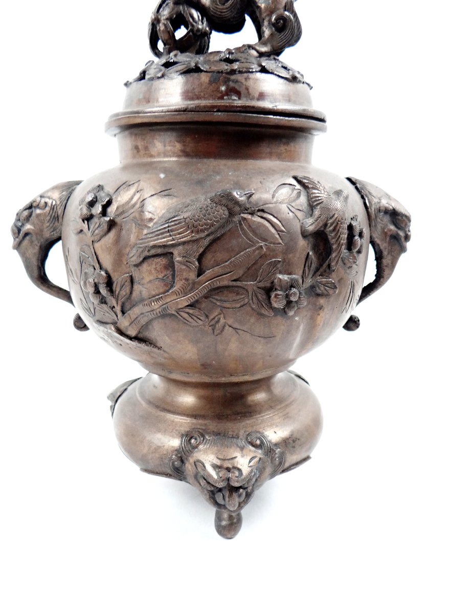 Encensoir brûle parfum chinois au lion de Fo et oiseaux Japonais ère Meiji XIXe (1868-1912)-photo-3