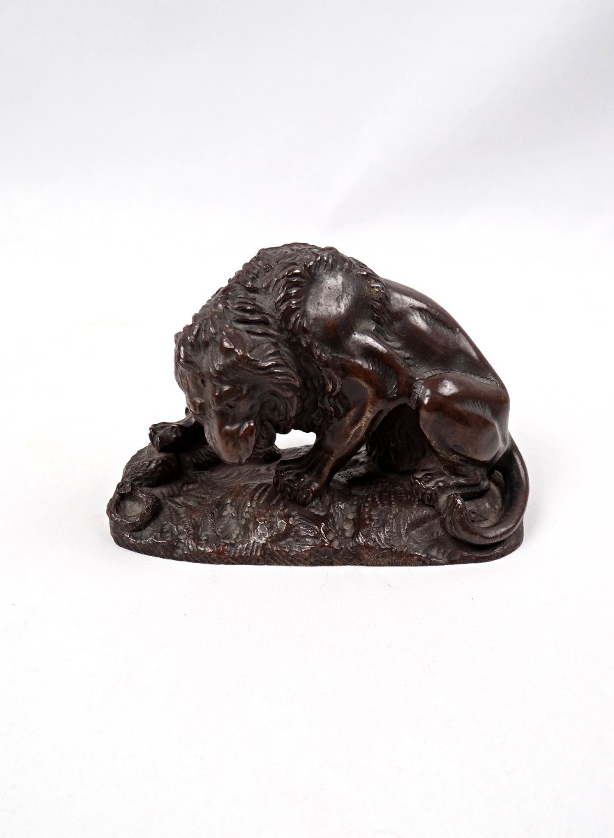 Sculpture en bronze lion au serpent dans le goût d'Antoine Louis Barye XIXe-photo-4