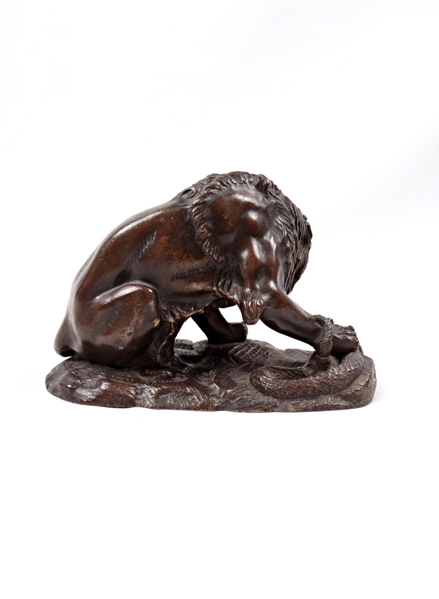Sculpture en bronze lion au serpent dans le goût d'Antoine Louis Barye XIXe-photo-4