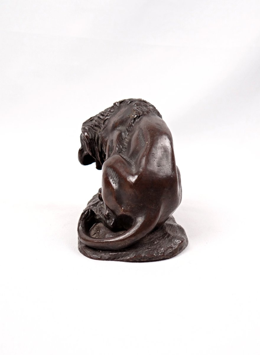 Sculpture en bronze lion au serpent dans le goût d'Antoine Louis Barye XIXe-photo-6