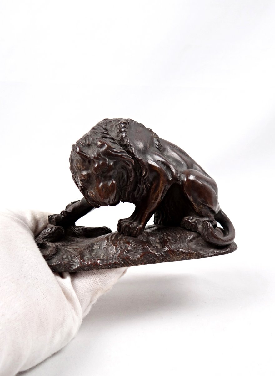 Sculpture en bronze lion au serpent dans le goût d'Antoine Louis Barye XIXe-photo-8