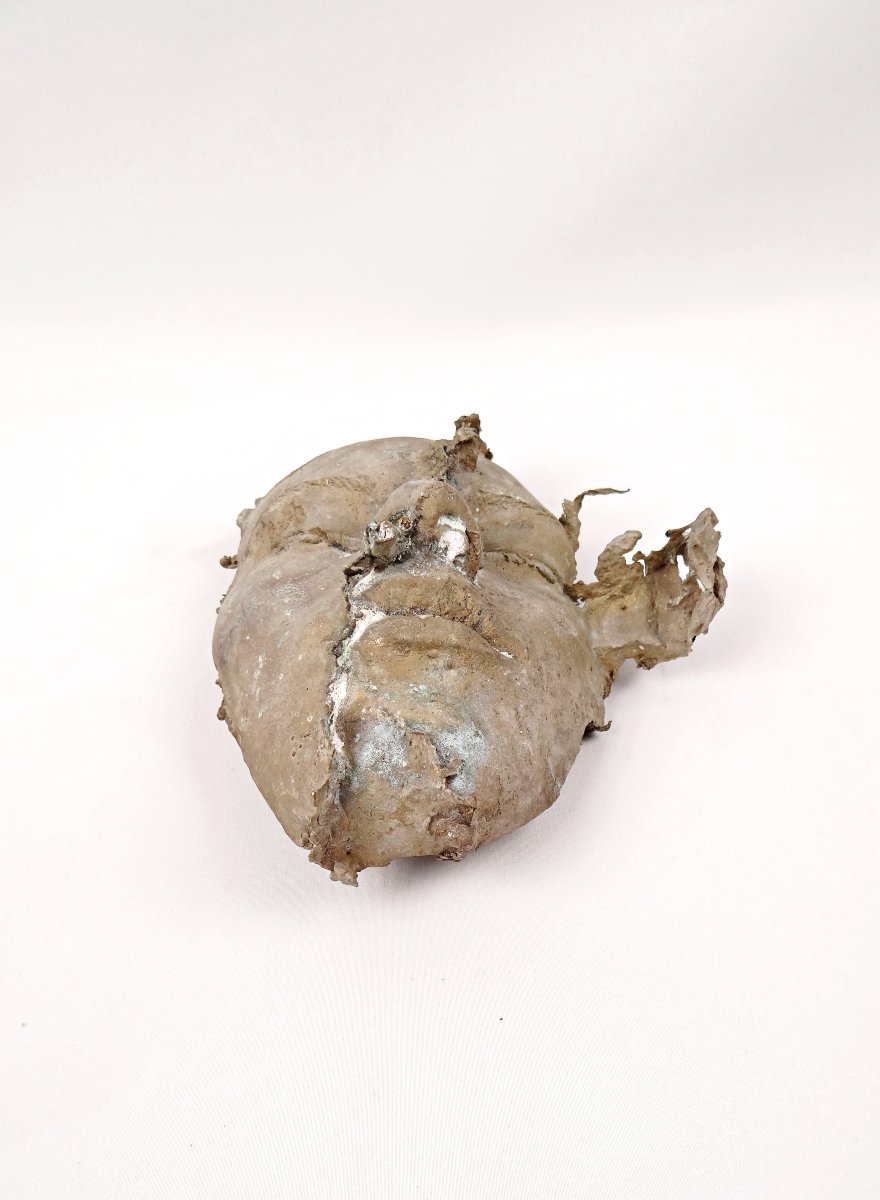 Solid Bronze Surrealist Death Mask Of A Female Curiosity Cabinet 20th Century-photo-2
