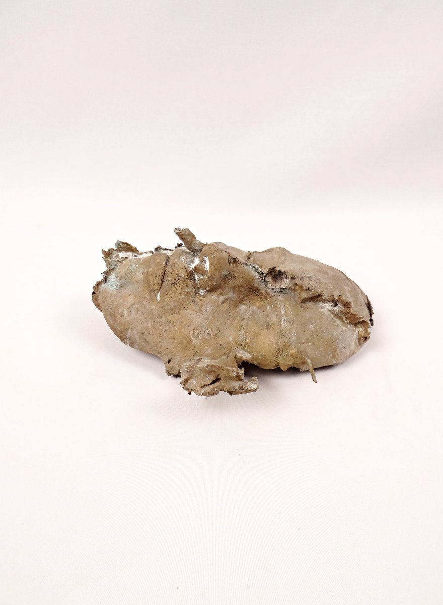 Solid Bronze Surrealist Death Mask Of A Female Curiosity Cabinet 20th Century-photo-2