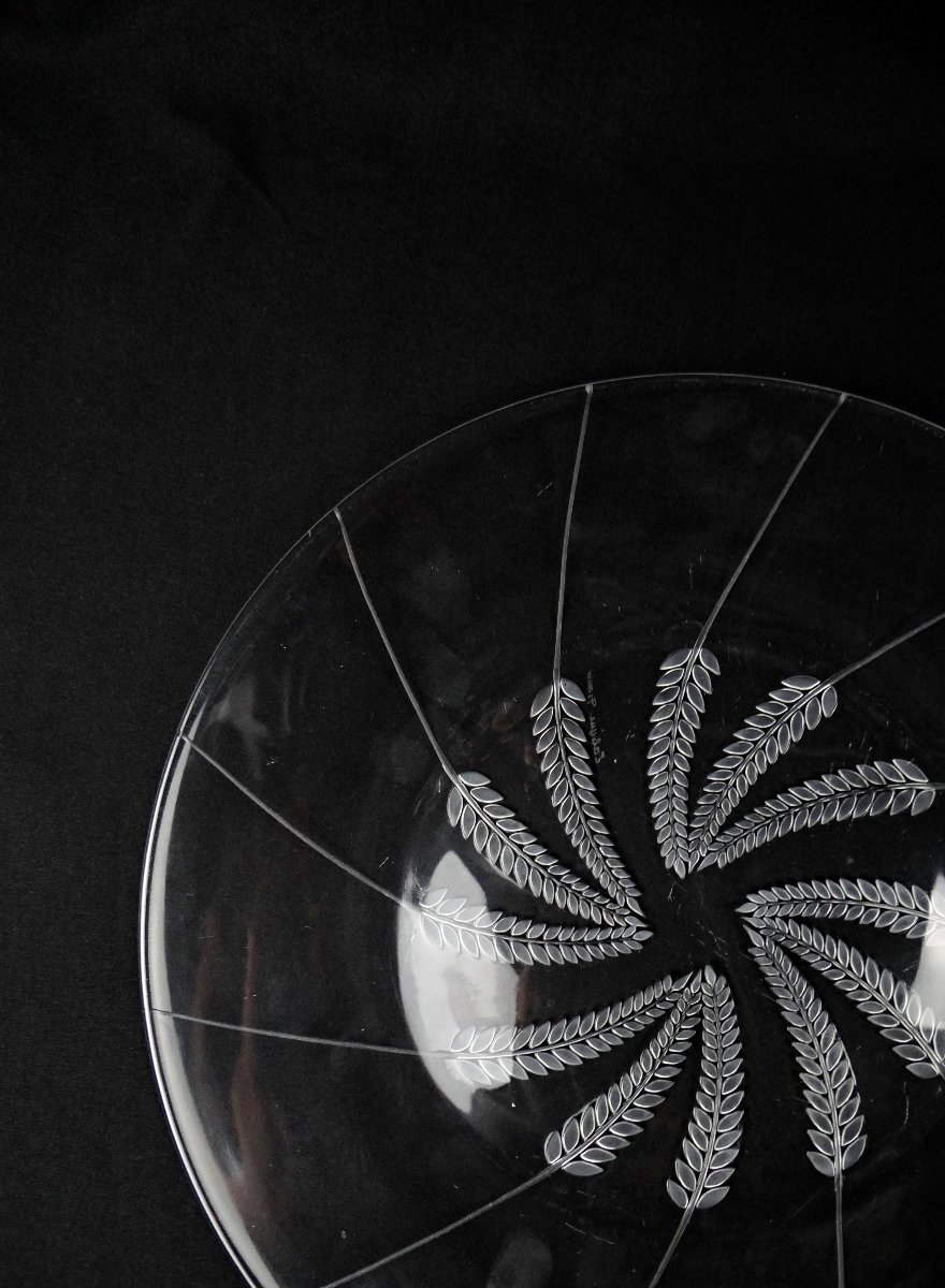Lalique France Wheat-ear Dish, Lucerne Model, Modernism, Mid-20th Century-photo-2