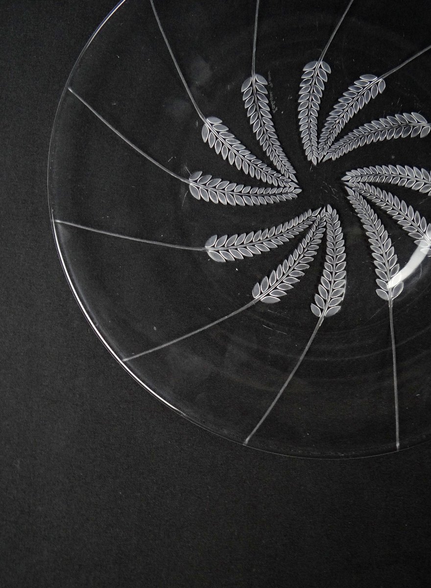 Lalique France Wheat-ear Dish, Lucerne Model, Modernism, Mid-20th Century-photo-4