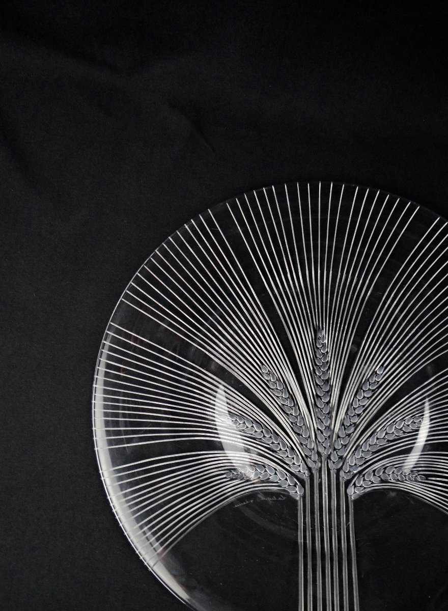 Lalique France Wheat-ear Dish, Verneuil Model, Modernism, Mid-20th Century-photo-2