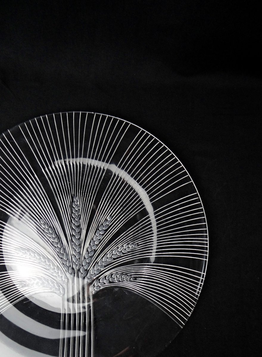 Lalique France Wheat-ear Dish, Verneuil Model, Modernism, Mid-20th Century-photo-3