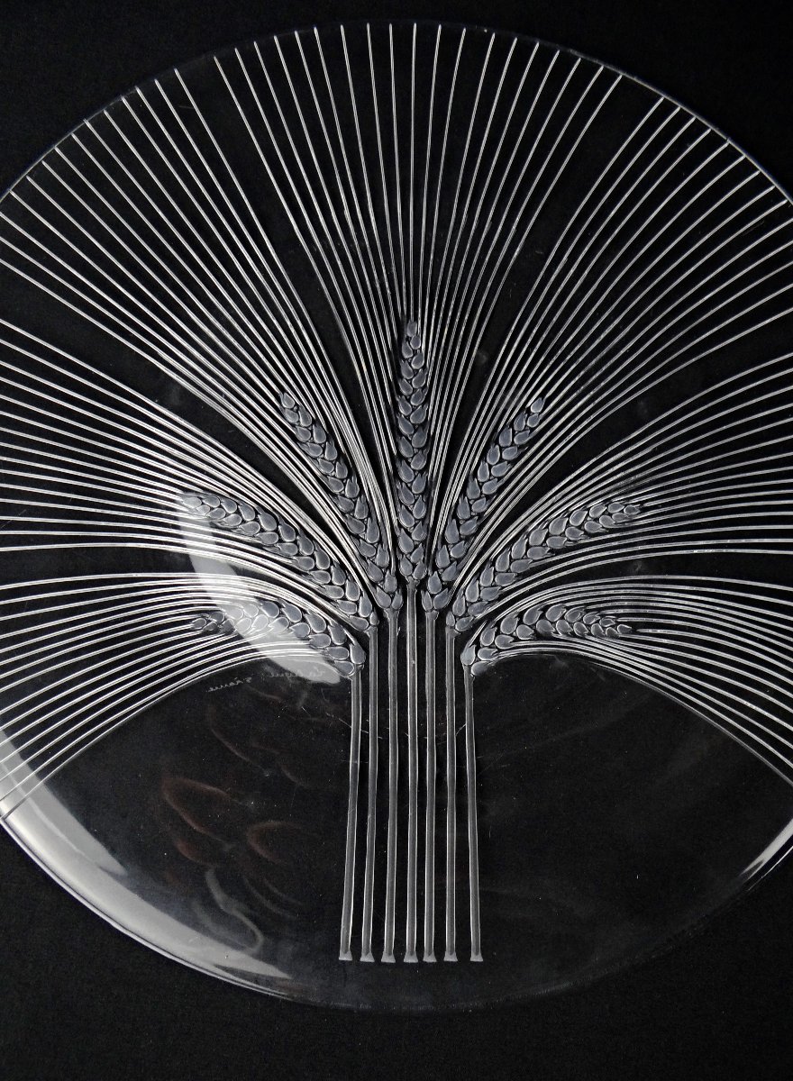 Lalique France Wheat-ear Dish, Verneuil Model, Modernism, Mid-20th Century-photo-4