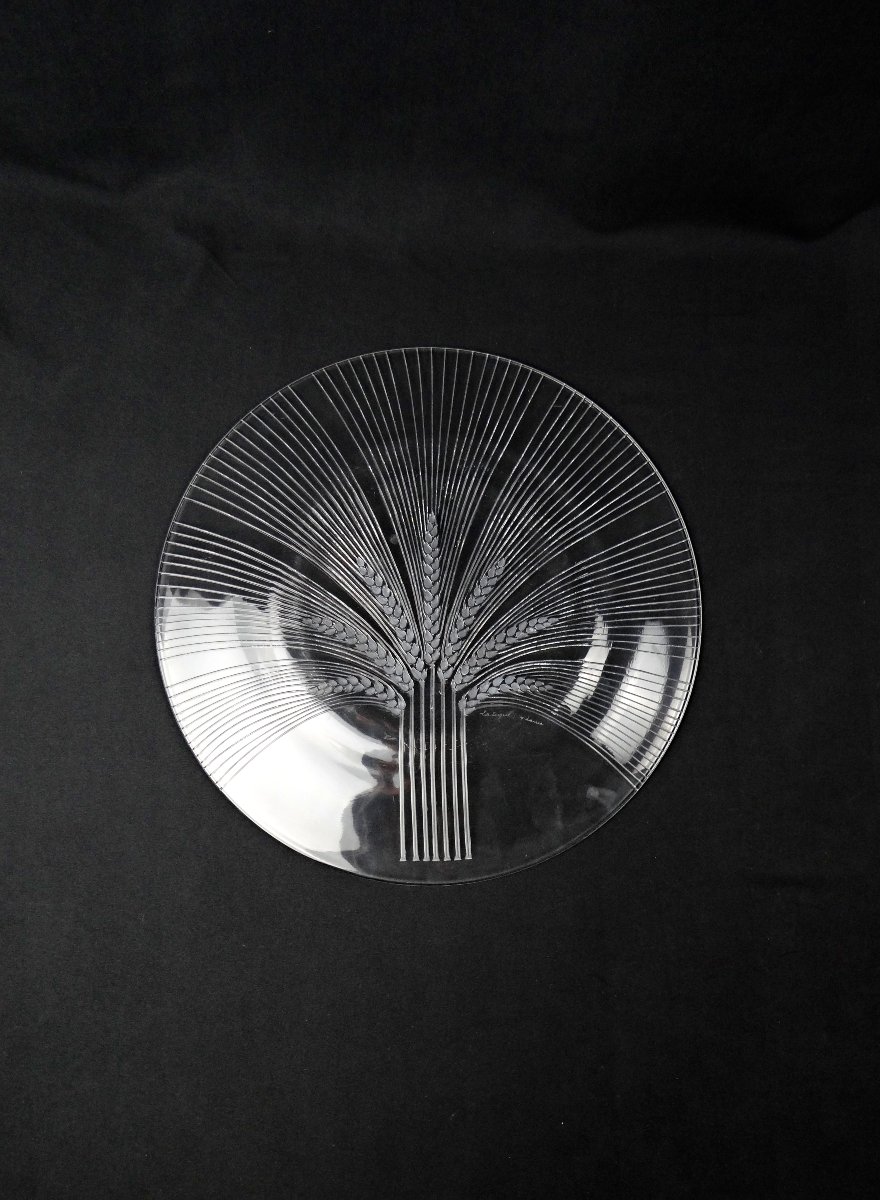 Lalique France Wheat-ear Dish, Verneuil Model, Modernism, Mid-20th Century-photo-3