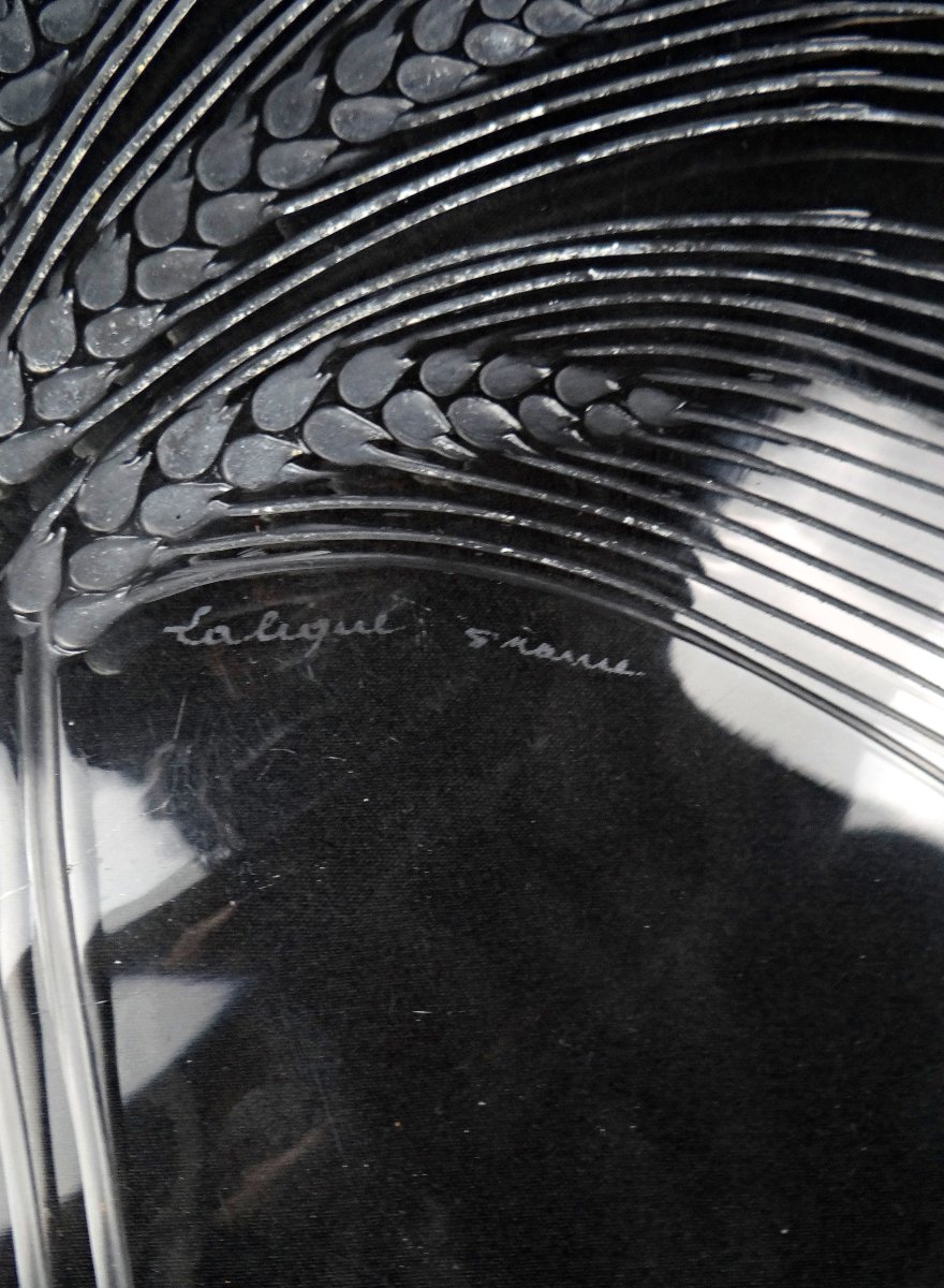 Lalique France Wheat-ear Dish, Verneuil Model, Modernism, Mid-20th Century-photo-4