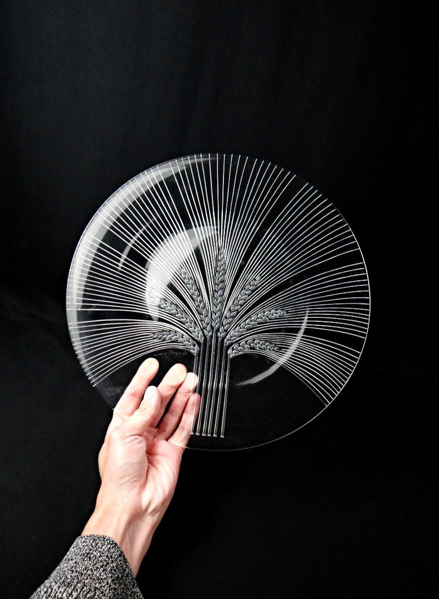 Lalique France Wheat-ear Dish, Verneuil Model, Modernism, Mid-20th Century-photo-5