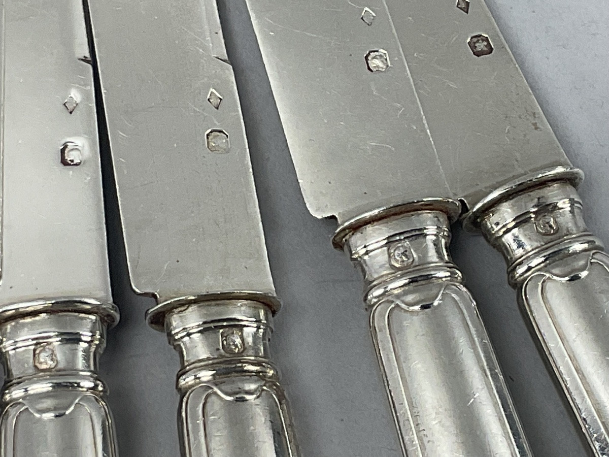 12 Fruit Knives With Silver Handle And Blade-photo-2