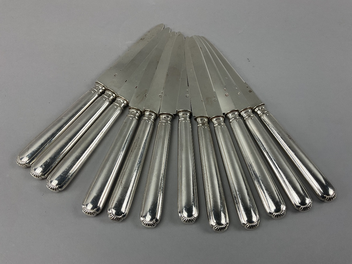 12 Fruit Knives With Silver Handle And Blade