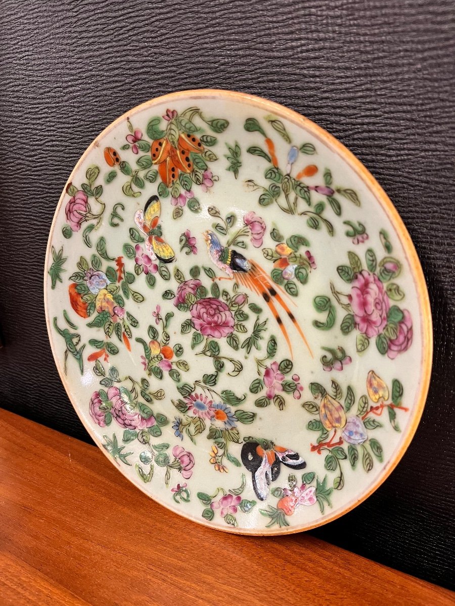 Assiette Chinoise  porcelaine Vert Céladon Papillon Oiseaux  Polychrome -photo-2