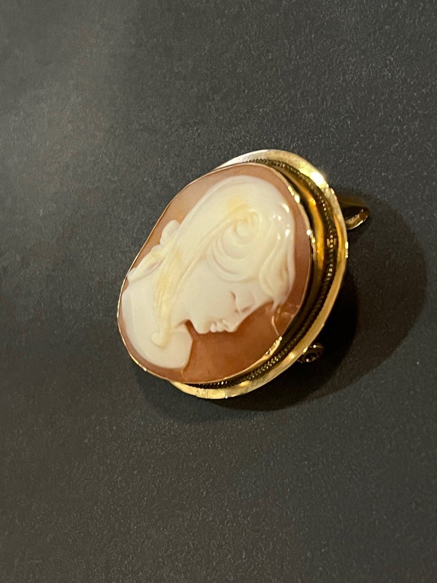 Bijou Camé Femme  Pendentif / Broche En Or 750 -photo-4