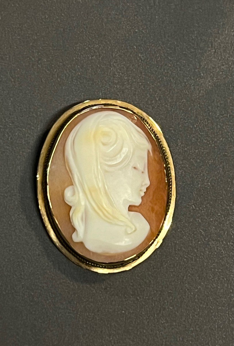 Bijou Camé Femme  Pendentif / Broche En Or 750 
