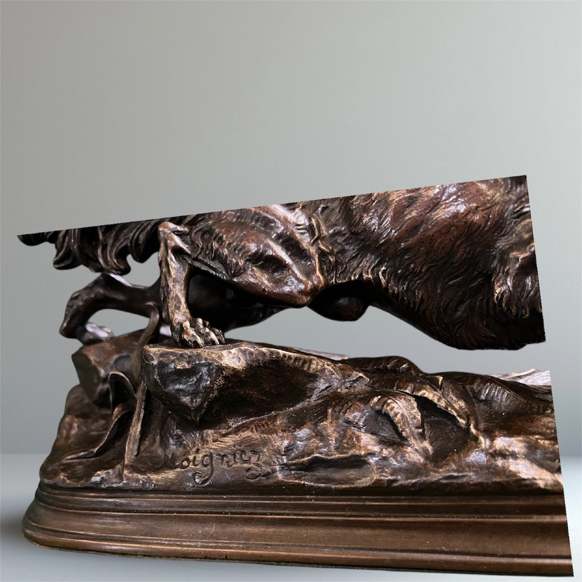 Bronze animalier  de J. MOIGNIEZ  chien de chasse setter -photo-3