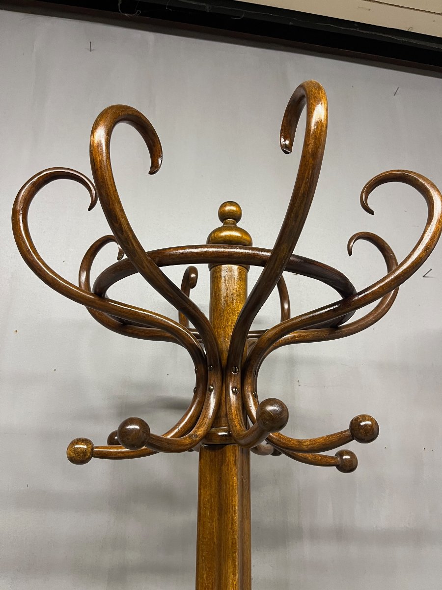 "perroquet" Fischel Coat Rack Made Of Bentwood For The Entryway-photo-2