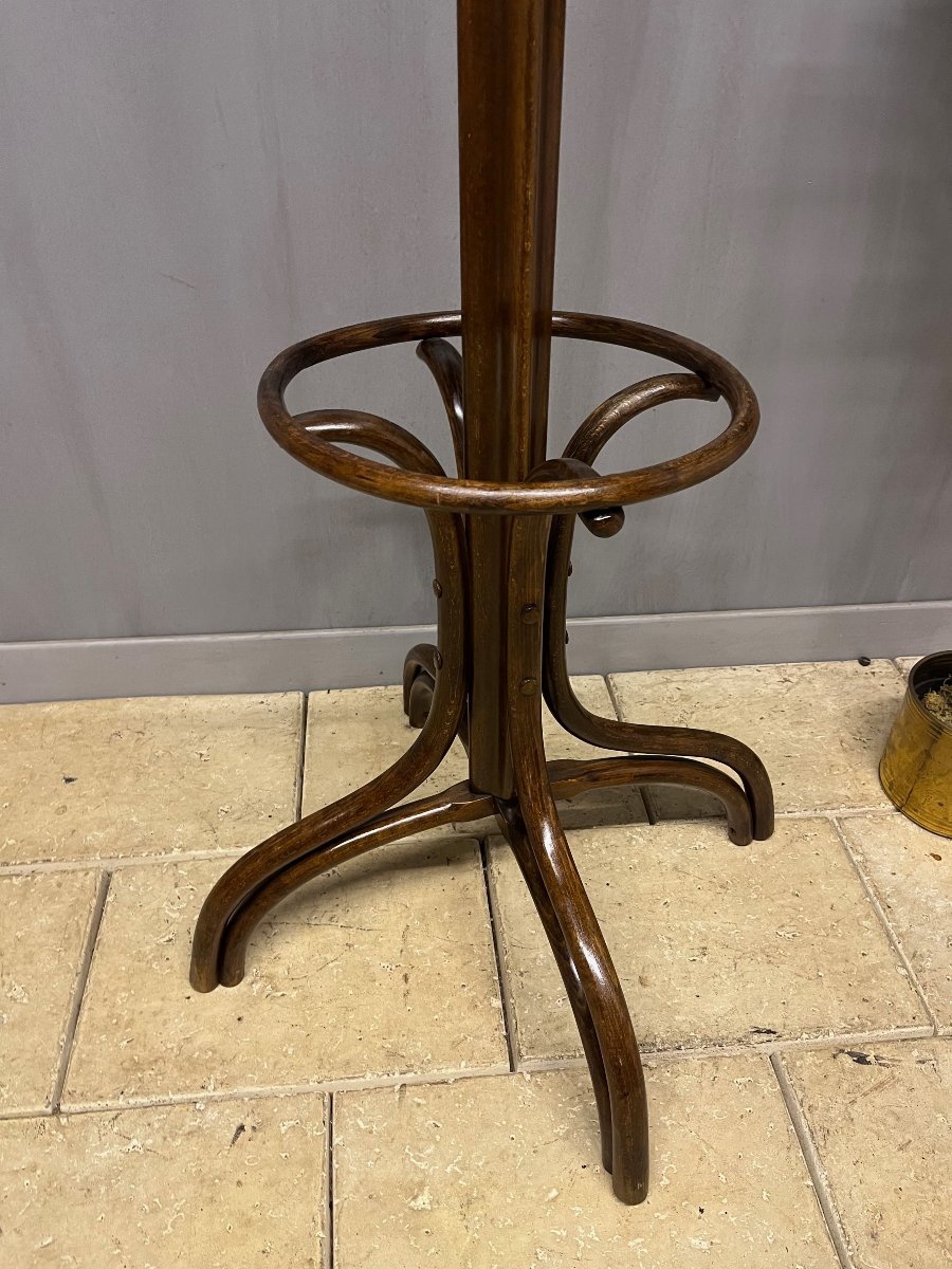 "perroquet" Fischel Coat Rack Made Of Bentwood For The Entryway-photo-3