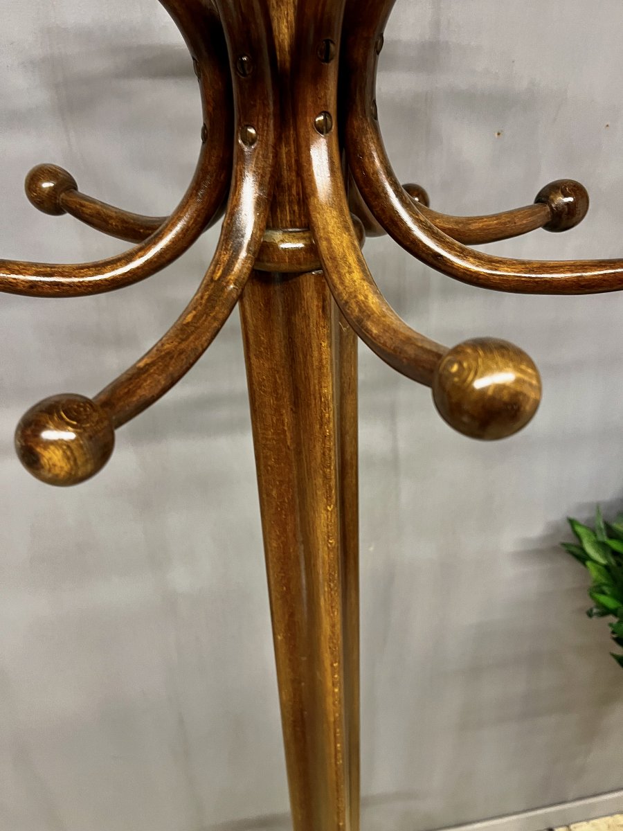 "perroquet" Fischel Coat Rack Made Of Bentwood For The Entryway-photo-2