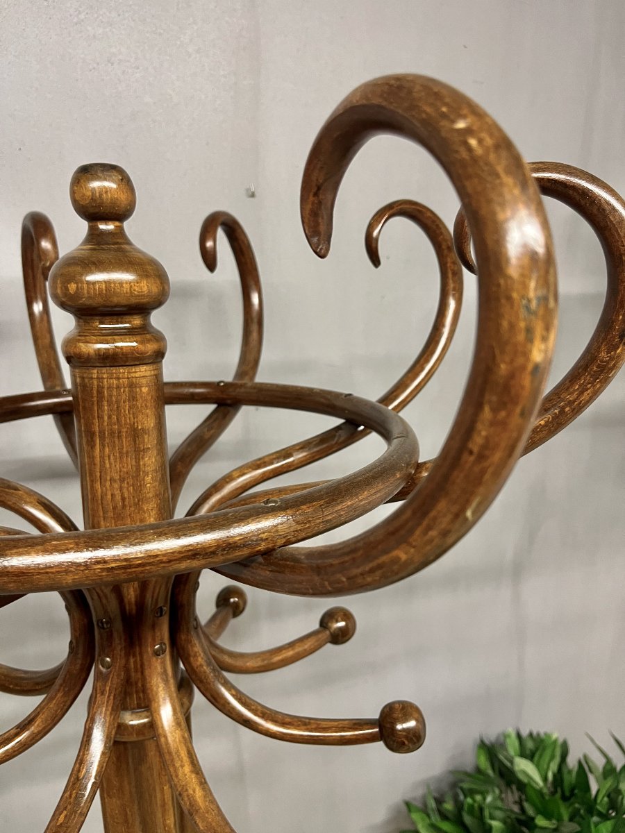 "perroquet" Fischel Coat Rack Made Of Bentwood For The Entryway-photo-3