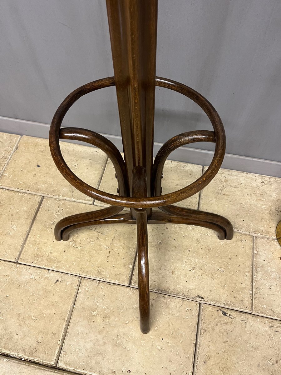 "perroquet" Fischel Coat Rack Made Of Bentwood For The Entryway-photo-4