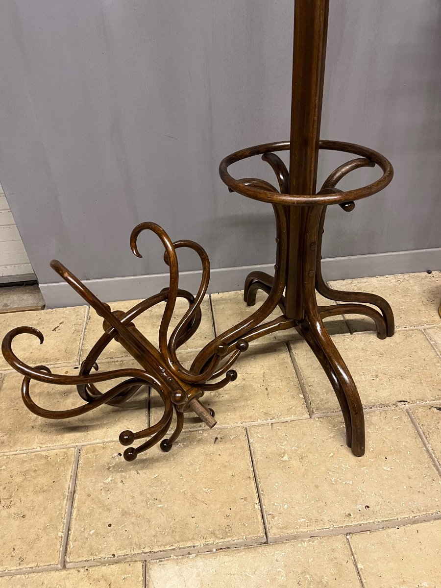 "perroquet" Fischel Coat Rack Made Of Bentwood For The Entryway-photo-5